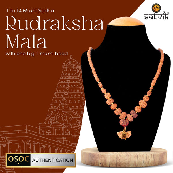 100% Original & Certified 1–14 Mukhi Siddh Rudraksha Mala with Big 1 Mukhi