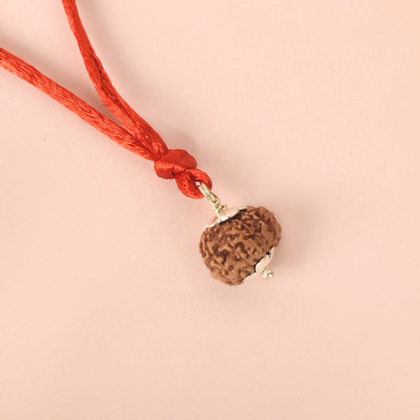 Certified 13 Mukhi Rudraksha Pendant
