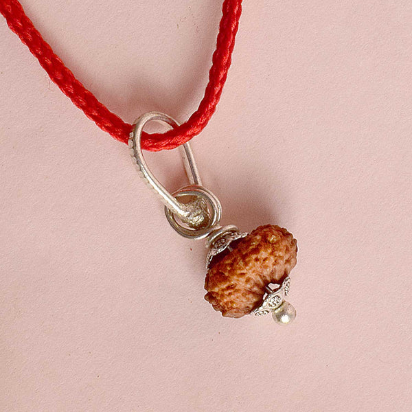 Certified 14 Mukhi Rudraksha Pendant