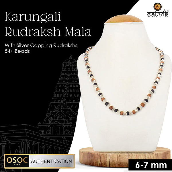 Govt. Certified Rudraksha & Karungali Mala With Silver Plating Capping