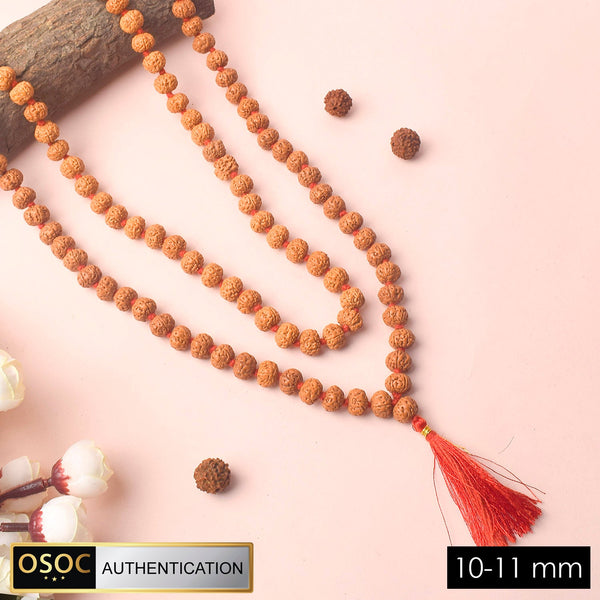 10-11mm Semi Pathriya Rudraksha Mala