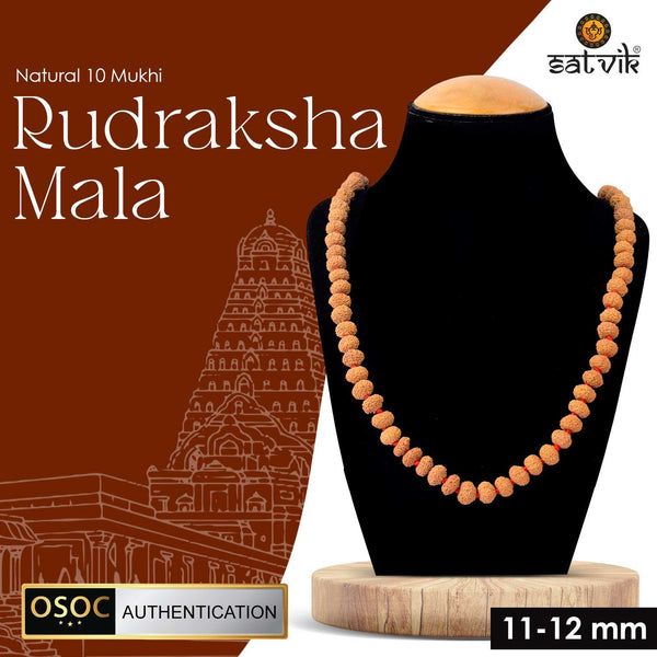 10 Mukhi Rudraksha Mala 11-12mm