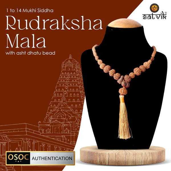 100% Original & Certified 1–14 Mukhi Siddh Rudraksha Mala with Asht Dhatu Capping