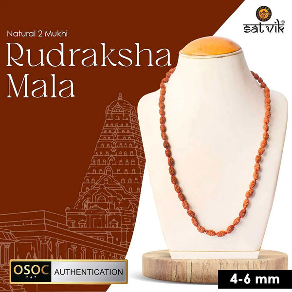 2 mukhi (4-6mm) semi pathriya rudraksha mala