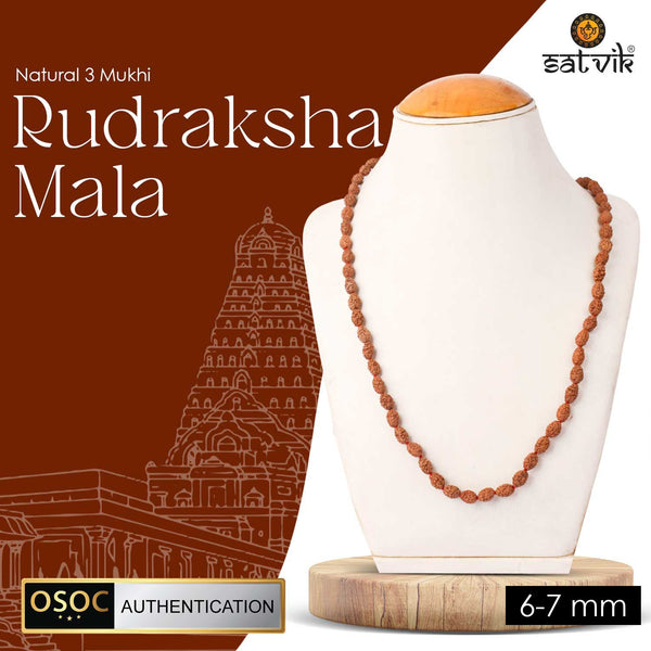 3 mukhi Original rudraksha mala