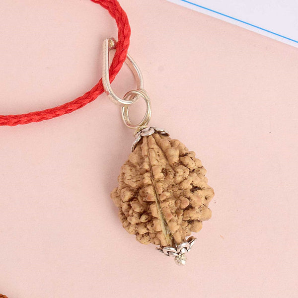 Certified 2 Mukhi Rudraksha Pendant