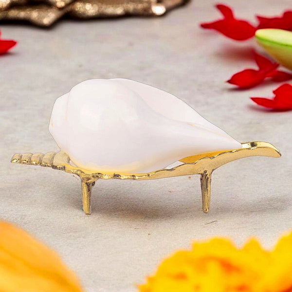 Elegant Brass Shankh Stand